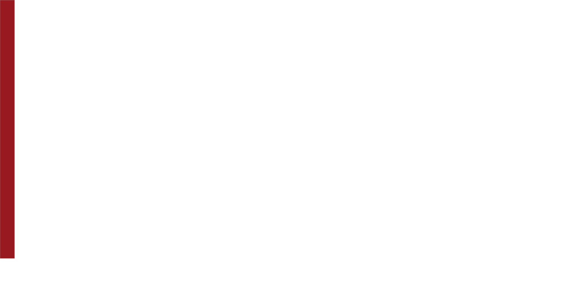 Sonnleitner Consulting GmbH