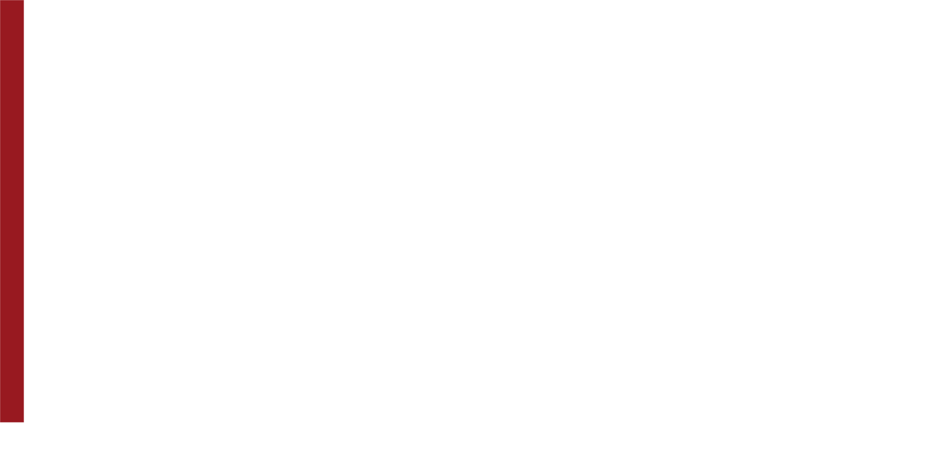 Sonnleitner Consulting GmbH